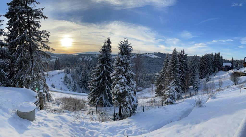 Panorama Karpat Guest house Yablunytsya