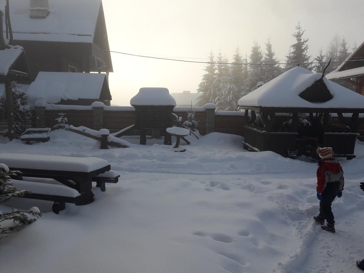 Panorama Karpat Guest house Yablunytsya
