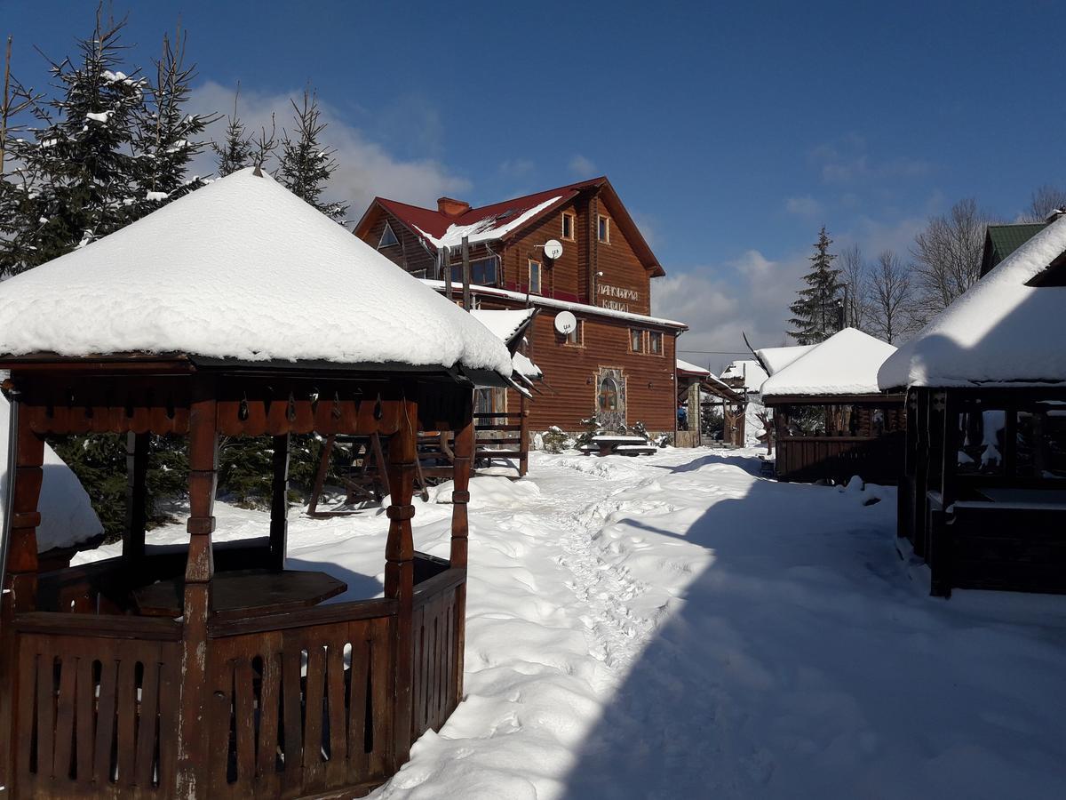 Panorama Karpat Guest house Yablunytsya