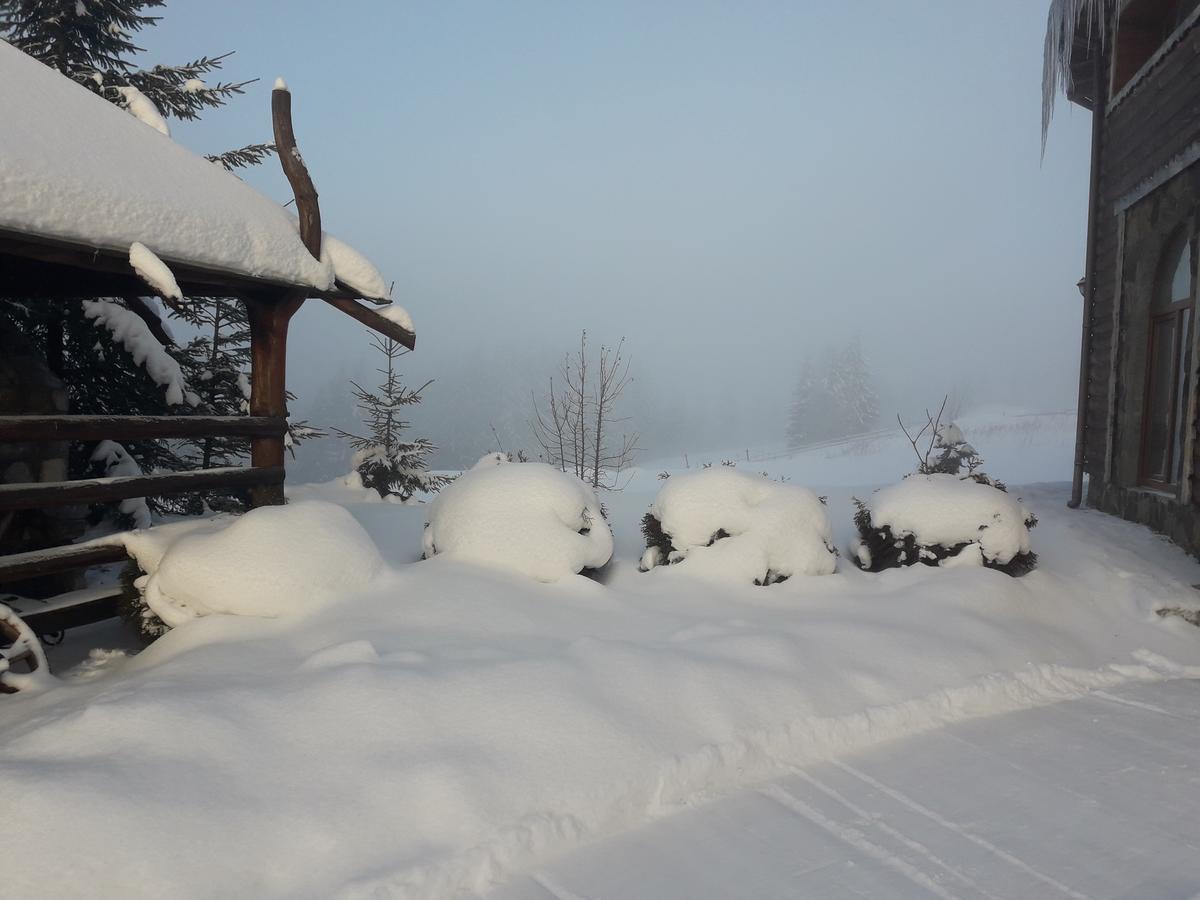 Guest house Panorama Karpat