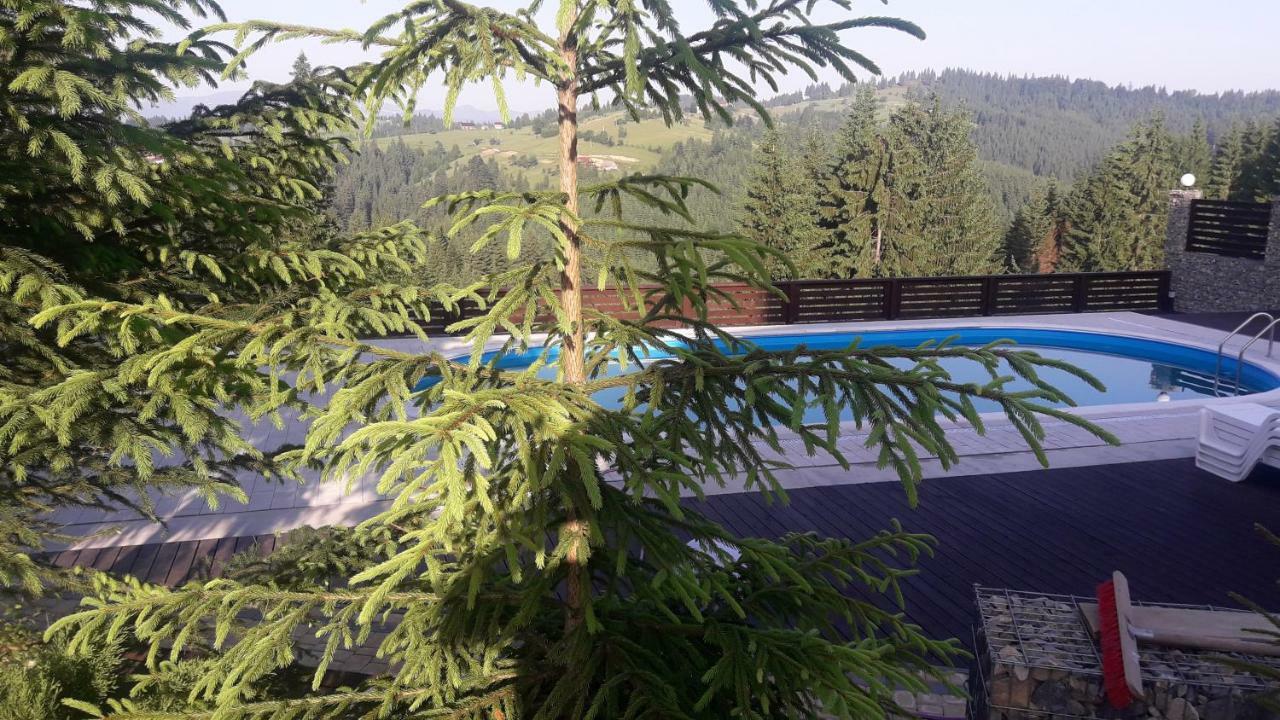 Guest house Panorama Karpat *
